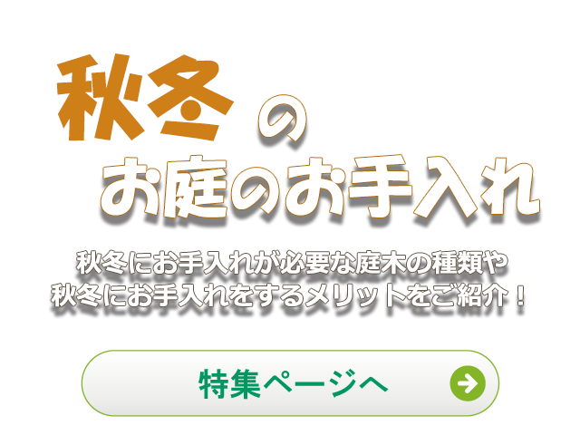 秋冬の庭のお手入れ