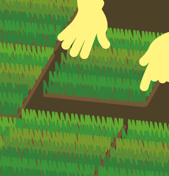 芝張りイメージ